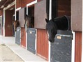 april-09 0.04.JPG